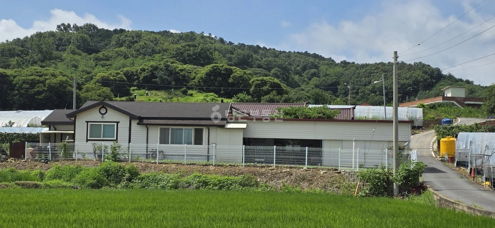충청남도 부여군 남면 단독/전원주택 사진 1