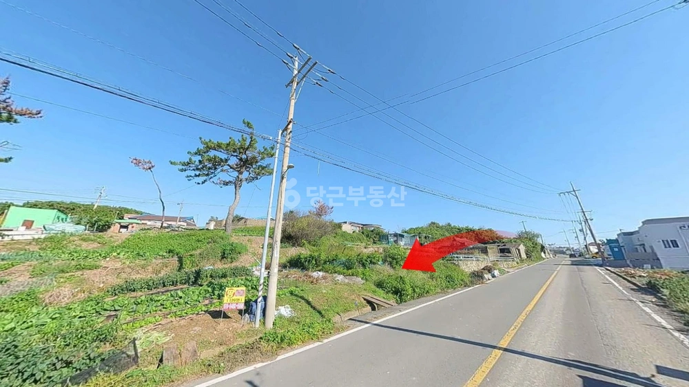 경상북도 포항시 남구 구룡포읍 토지 사진 1