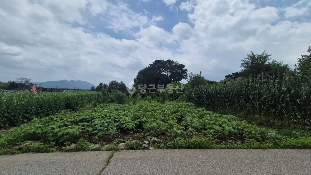 전북특별자치도 익산시 낭산면 토지 사진 1