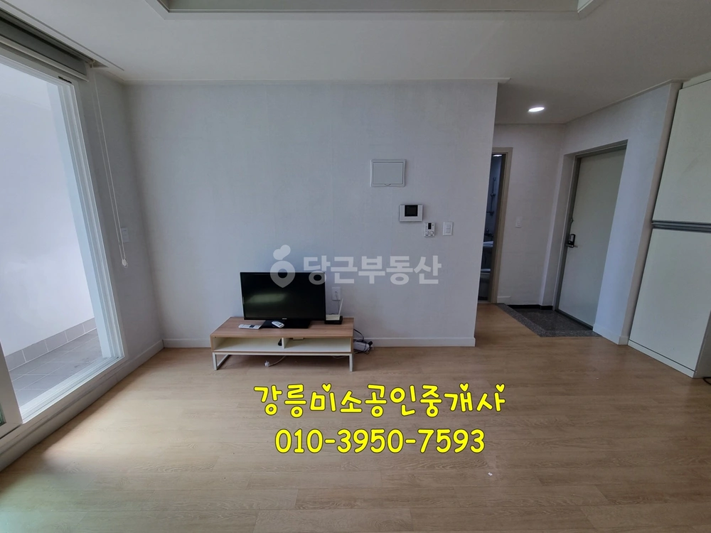 강원특별자치도 강릉시 임당동 원룸 사진 1