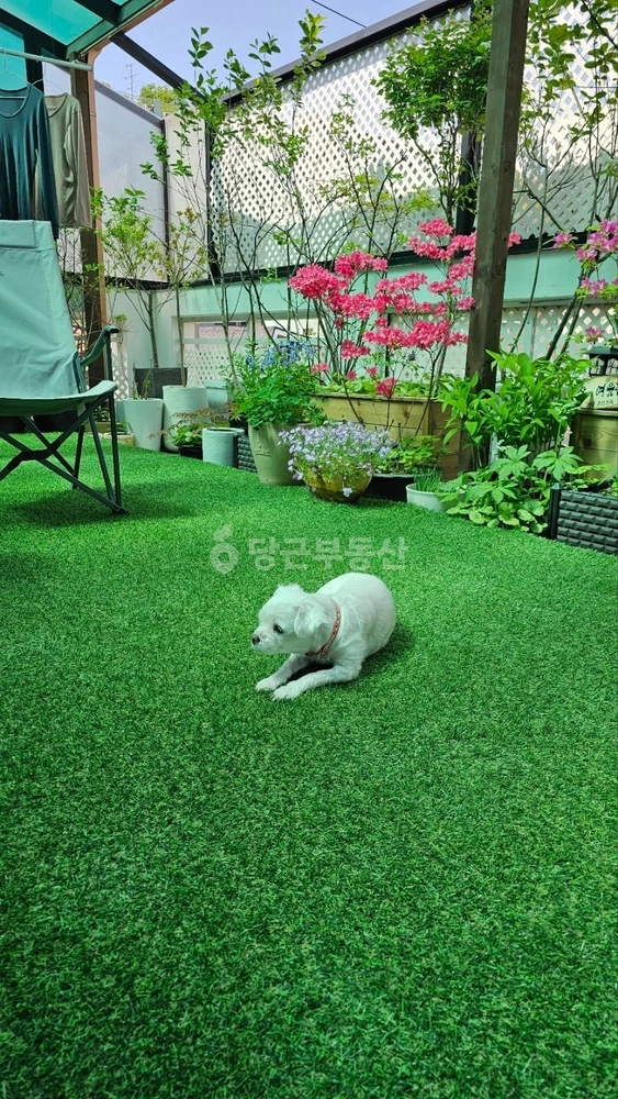 서울특별시 서대문구 홍은동 빌라(투룸 이상) 사진 1