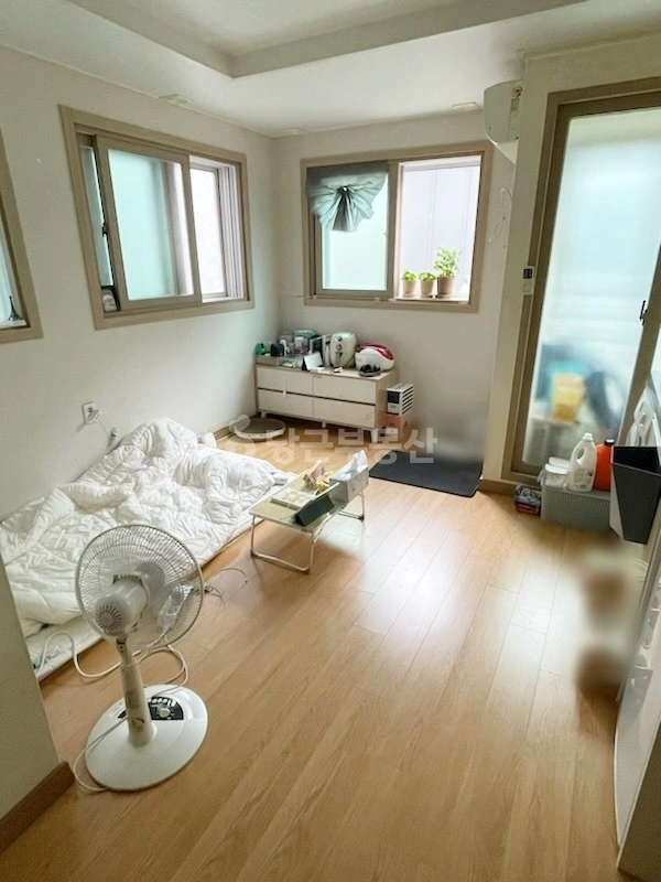 강원특별자치도 속초시 조양동 원룸 사진 1