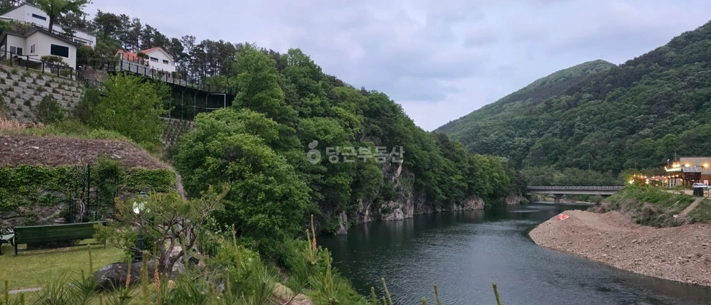 충청북도 옥천군 군서면 토지 사진 1