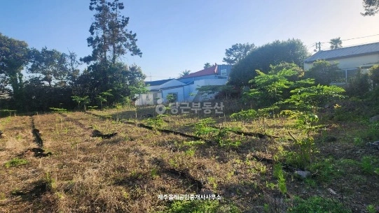 제주특별자치도 서귀포시 표선면 토지 사진 1