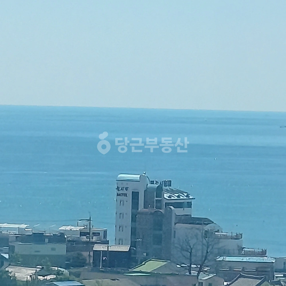 경상북도 경주시 감포읍 아파트 사진 1