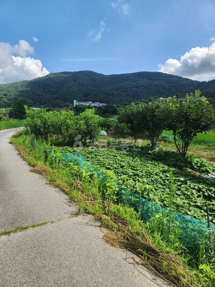 충청남도 공주시 반포면 토지 사진 1