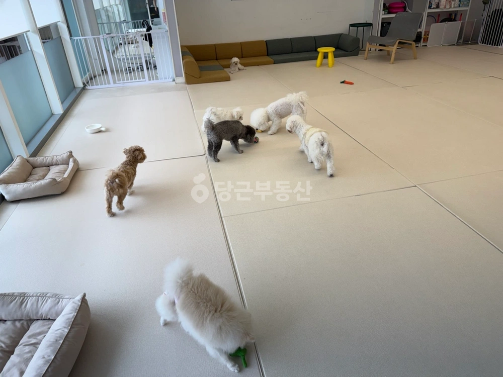 인천광역시 서해구 청라동 상가 사진 1