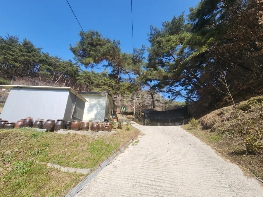 전남광주통합특별시 화순군 백아면 토지 사진 1