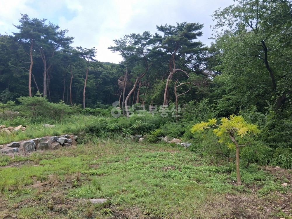 인천광역시 강화군 선원면 토지 사진 1