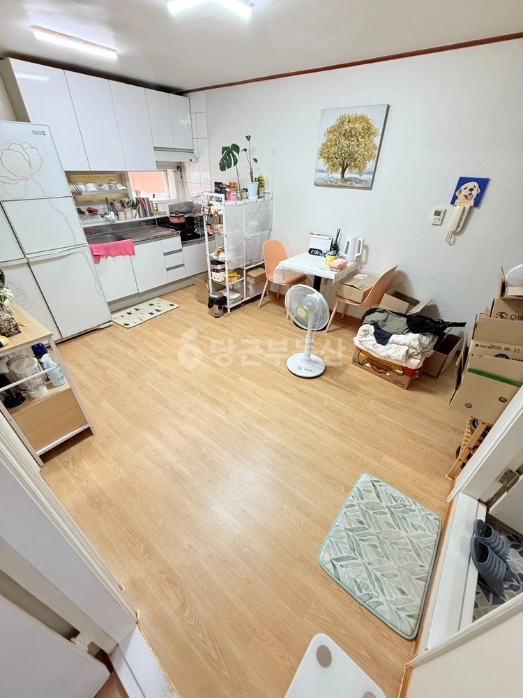 경기도 시흥시 정왕동 빌라(투룸 이상) 사진 1