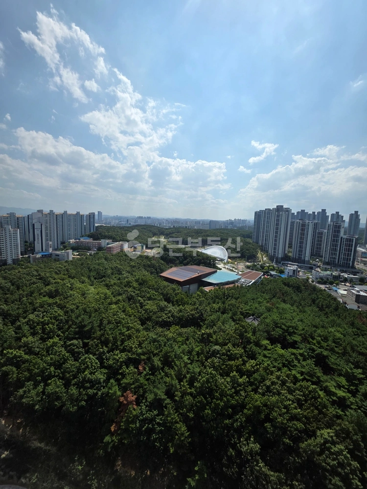 경상북도 포항시 북구 양덕동 아파트 사진 1