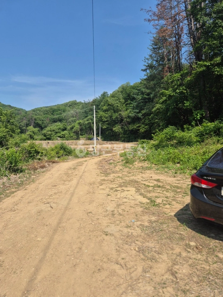 경기도 광주시 남종면 토지 사진 1