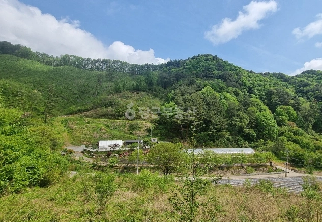 강원특별자치도 평창군 대화면 토지 사진 1