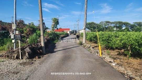 제주특별자치도 서귀포시 표선면 토지 사진 1