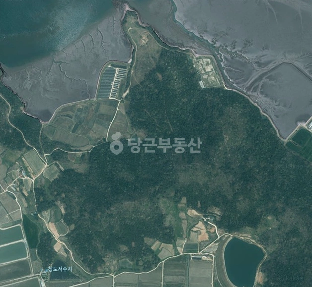 전남광주통합특별시 신안군 지도읍 토지 사진 1