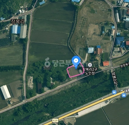 충청남도 예산군 대술면 토지 사진 1