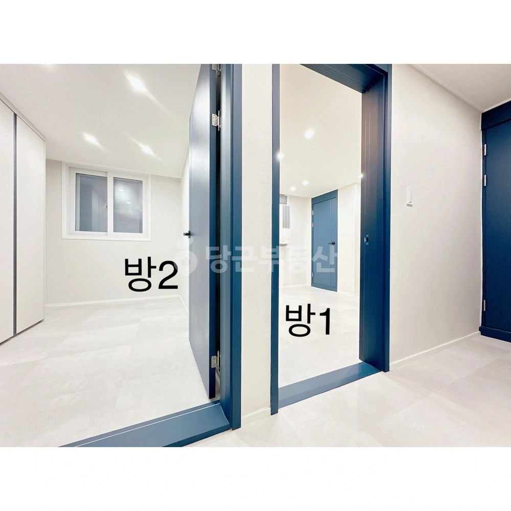 대전광역시 서구 탄방동 빌라(투룸 이상) 사진 1