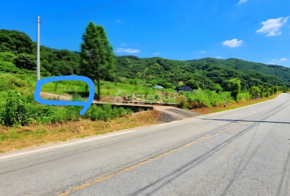 충청남도 공주시 사곡면 토지 사진 1