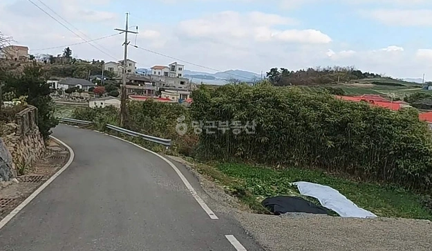 전남광주통합특별시 고흥군 금산면 토지 사진 1
