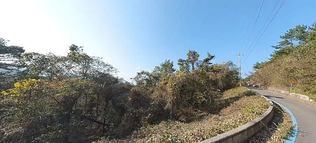 전남광주통합특별시 고흥군 금산면 토지 사진 1