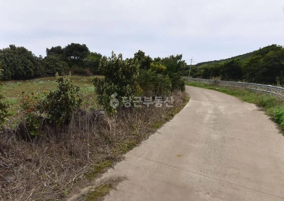 제주특별자치도 서귀포시 성산읍 토지 사진 1