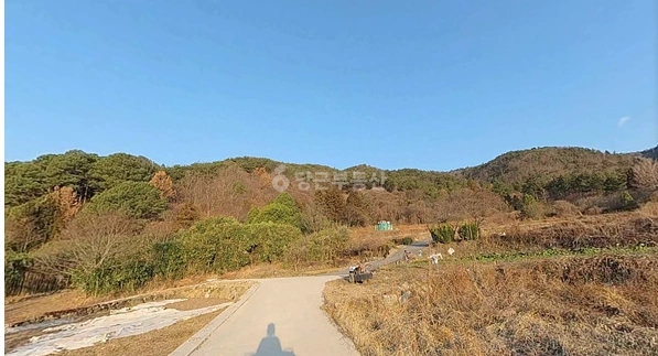 전남광주통합특별시 보성군 벌교읍 토지 사진 1