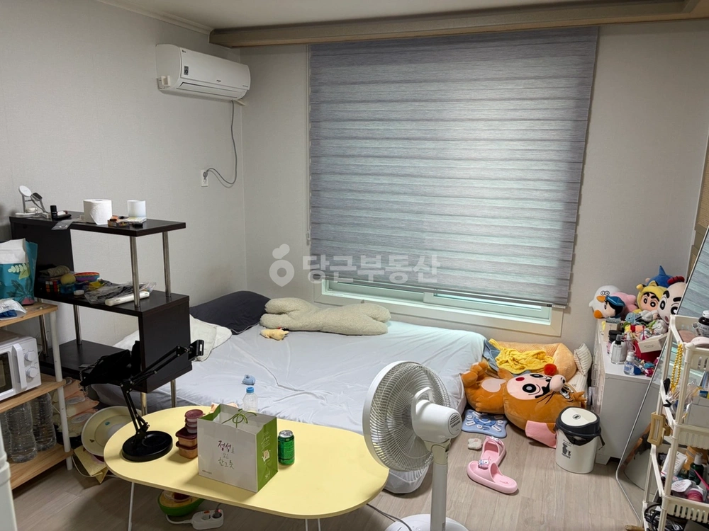 대전광역시 서구 갈마동 원룸 사진 1