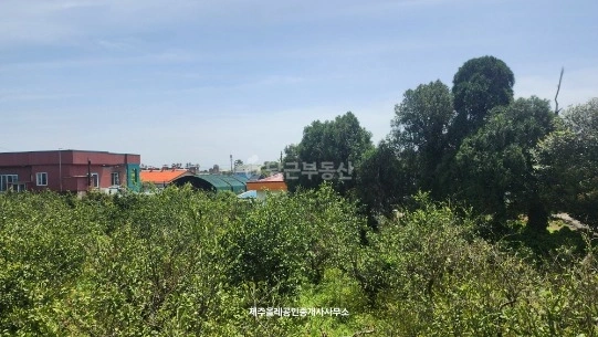 제주특별자치도 서귀포시 남원읍 토지 사진 1