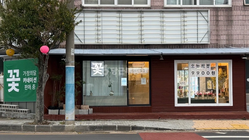 제주특별자치도 서귀포시 표선면 상가 사진 1
