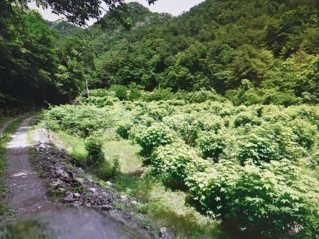 강원특별자치도 영월군 영월읍 토지 사진 1