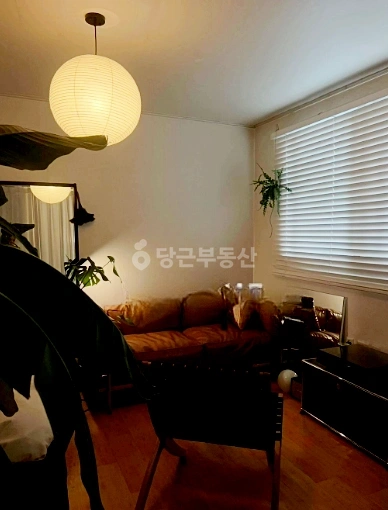 서울특별시 강남구 신사동 원룸 사진 1