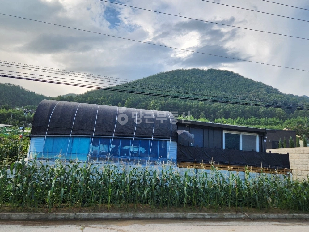 충청북도 옥천군 청성면 토지 사진 1