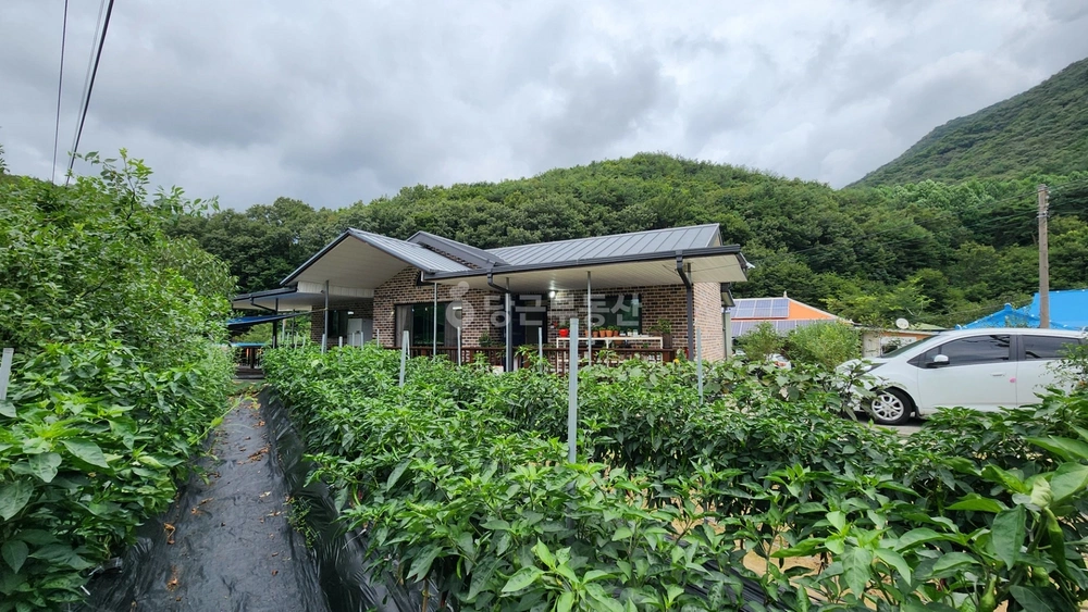 충청남도 보령시 성주면 단독/전원주택 사진 1