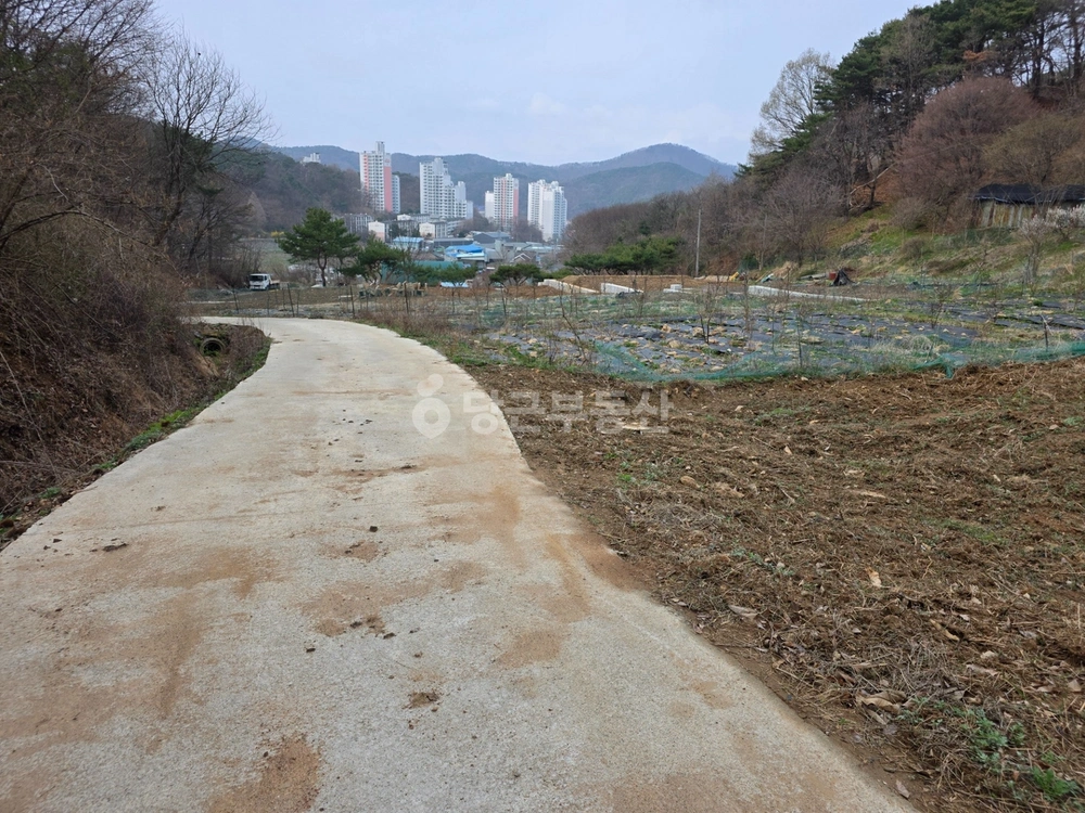 충청남도 공주시 금학동 토지 사진 1