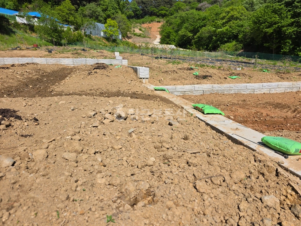 충청남도 공주시 금학동 토지 사진 1