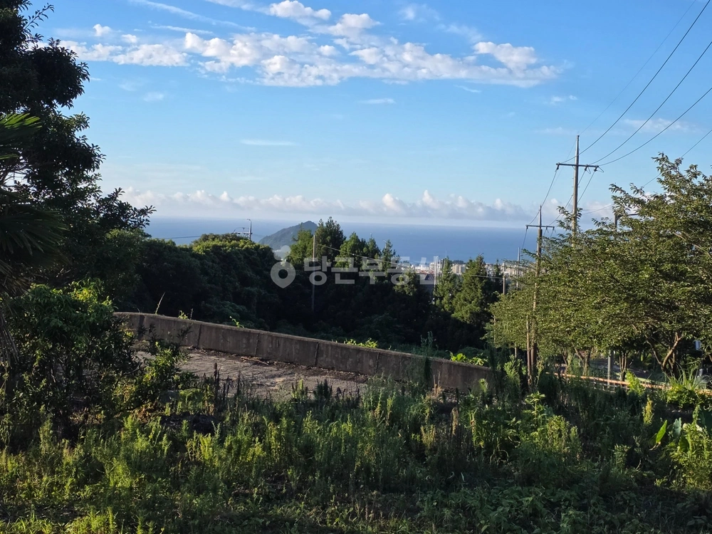 제주특별자치도 서귀포시 토평동 토지 사진 1