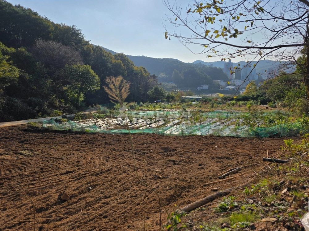 충청남도 공주시 금학동 토지 사진 1