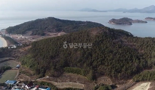전남광주통합특별시 신안군 증도면 토지 사진 1