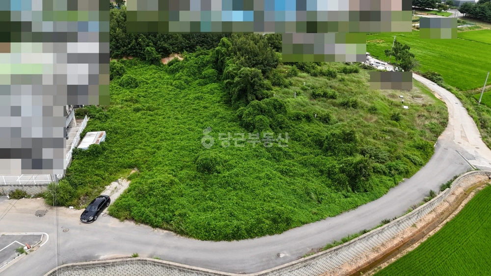 충청남도 아산시 둔포면 토지 사진 1
