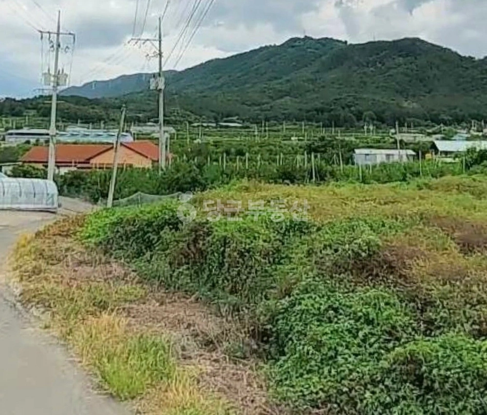 경상북도 영천시 대창면 토지 사진 1