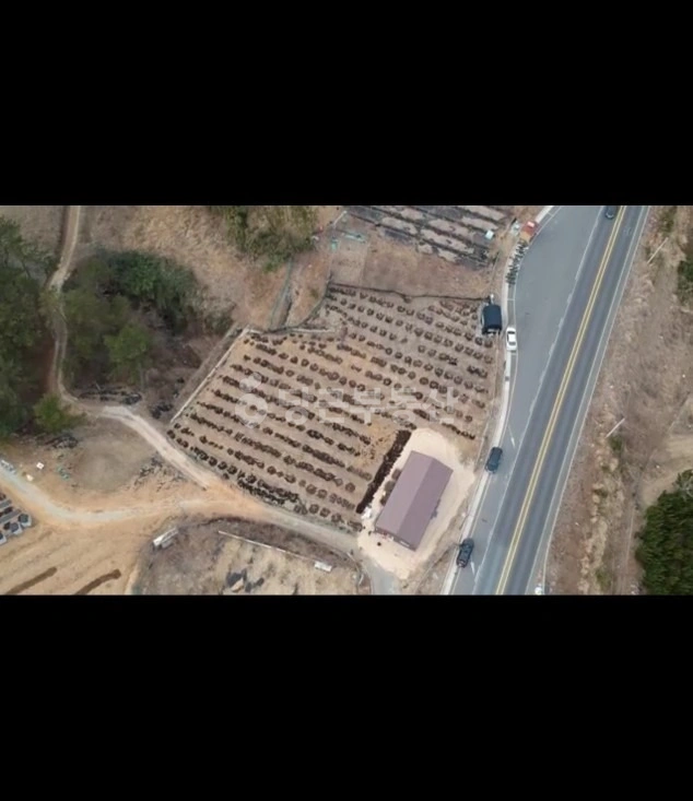 울산광역시 동구 주전동 토지 사진 1