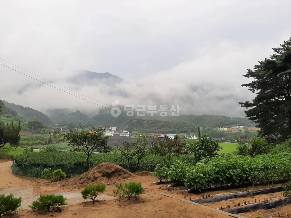 충청북도 충주시 산척면 토지 사진 1