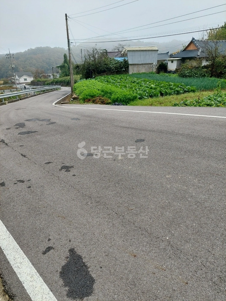 경상남도 함양군 유림면 토지 사진 1