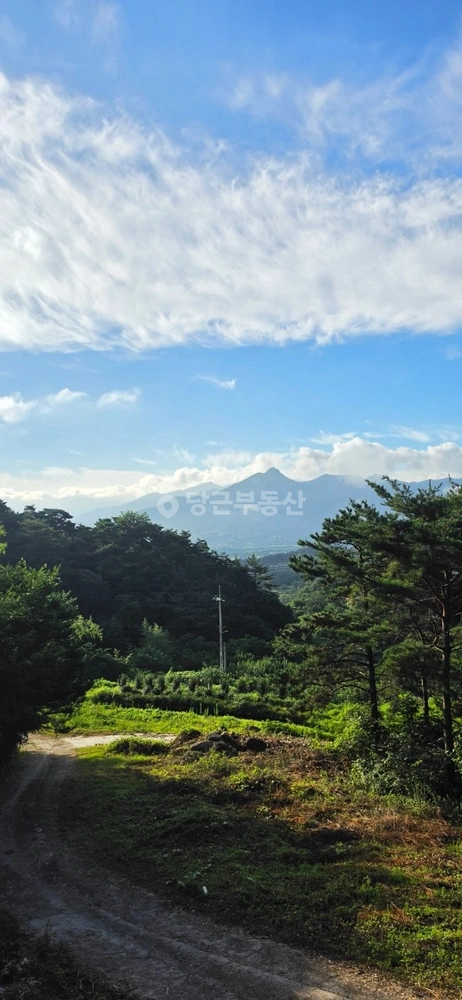 전남광주통합특별시 구례군 구례읍 토지 사진 1