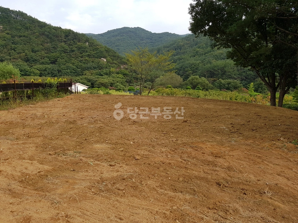 부산광역시 기장군 철마면 토지 사진 1