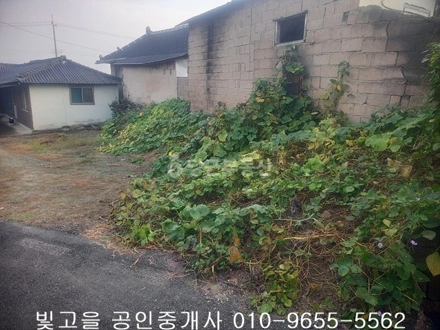 전남광주통합특별시 함평군 학교면 토지 사진 1