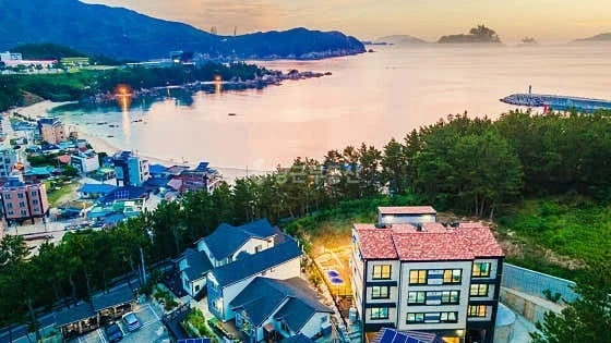 강원특별자치도 삼척시 근덕면 건물 사진 1