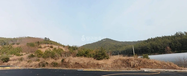 전남광주통합특별시 완도군 신지면 토지 사진 1