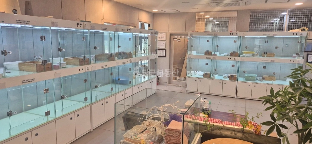 경기도 고양시 덕양구 동산동 상가 사진 1