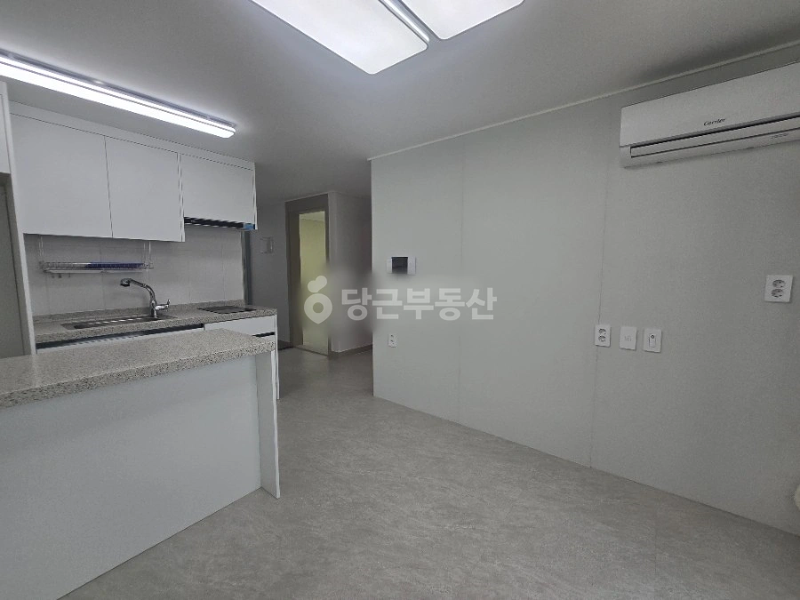 대전광역시 서구 내동 빌라(투룸 이상) 사진 1